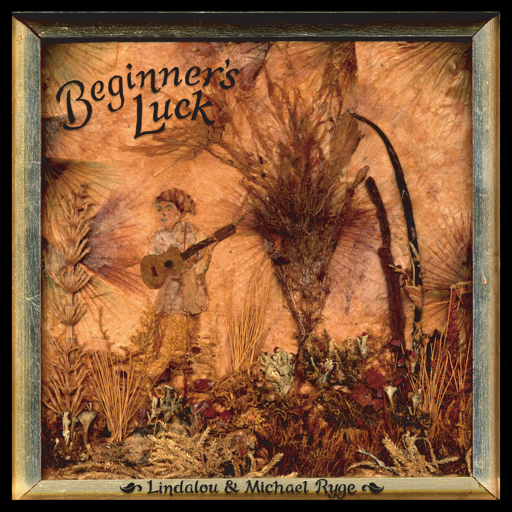 Beginner's Luck album cover