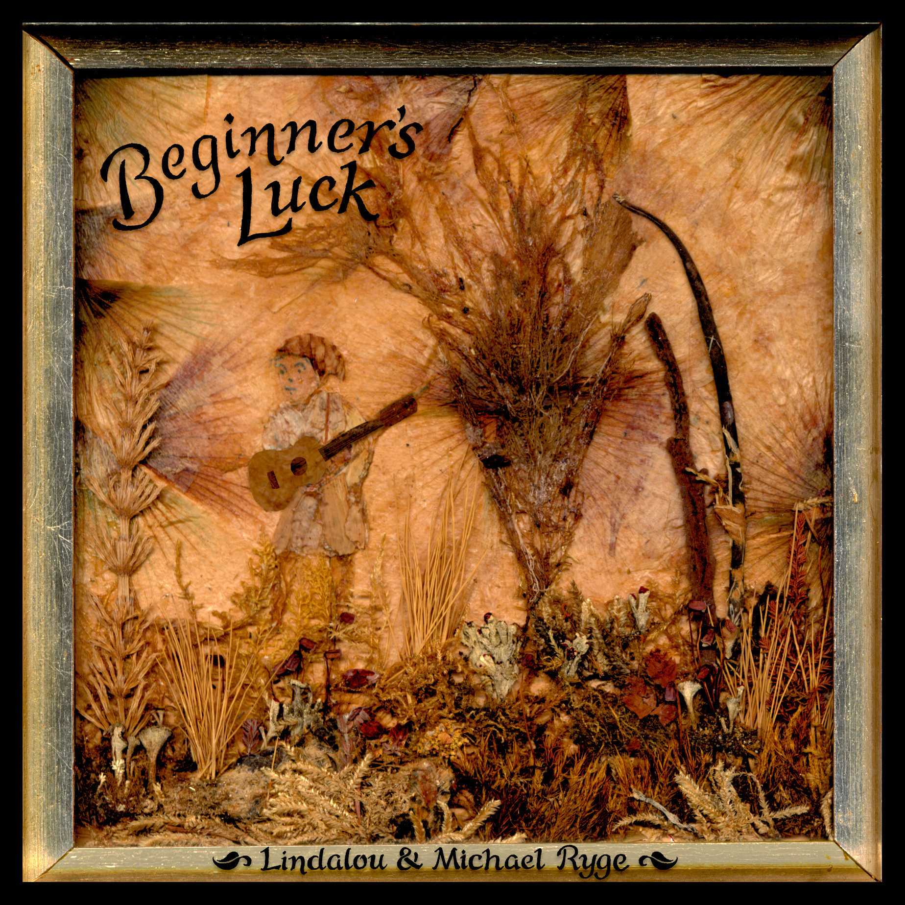 Beginner's Luck album cover
